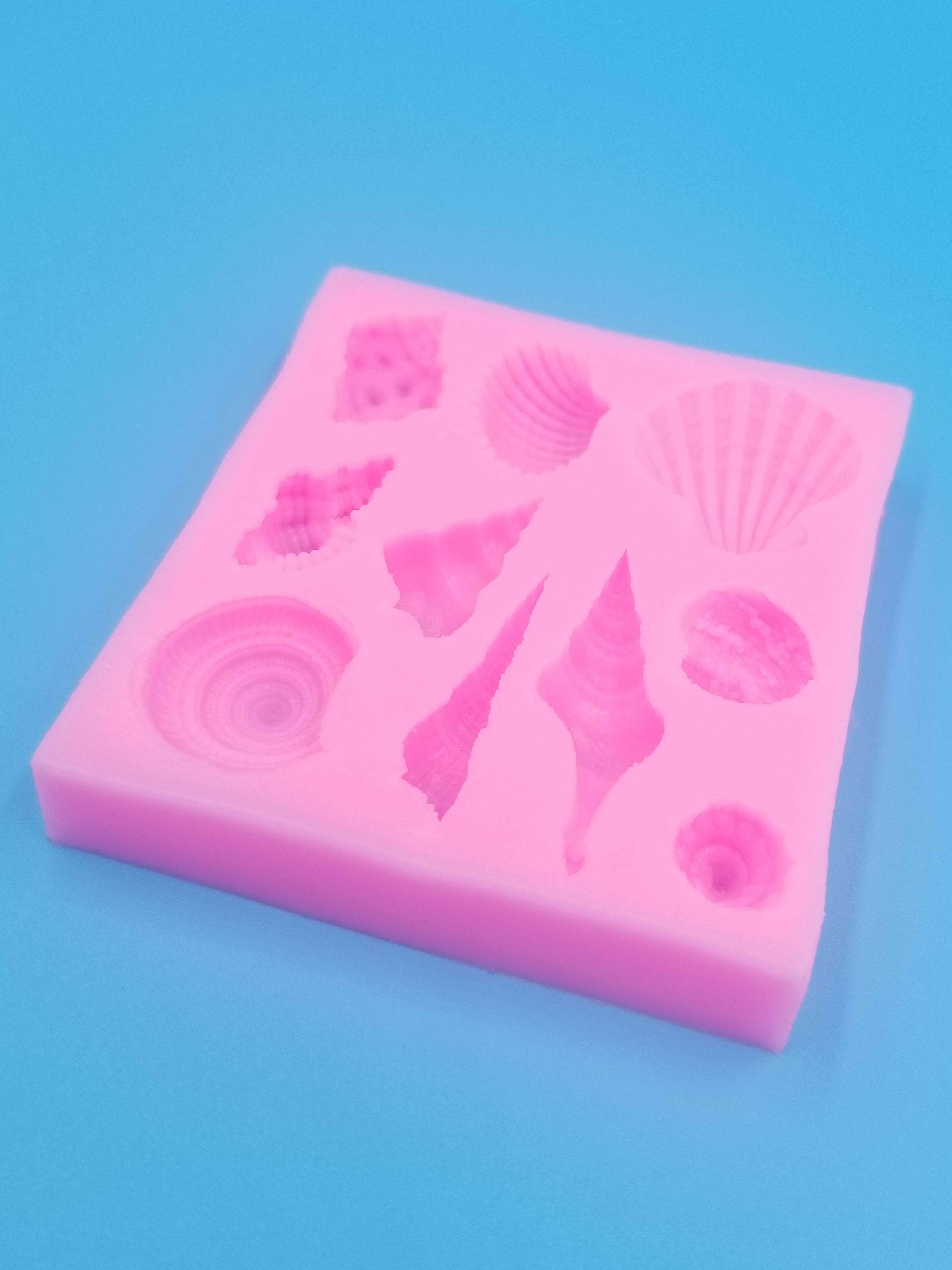 Seashell Silicone Mold - Conch - Food Safe - Chocolate - Fondant