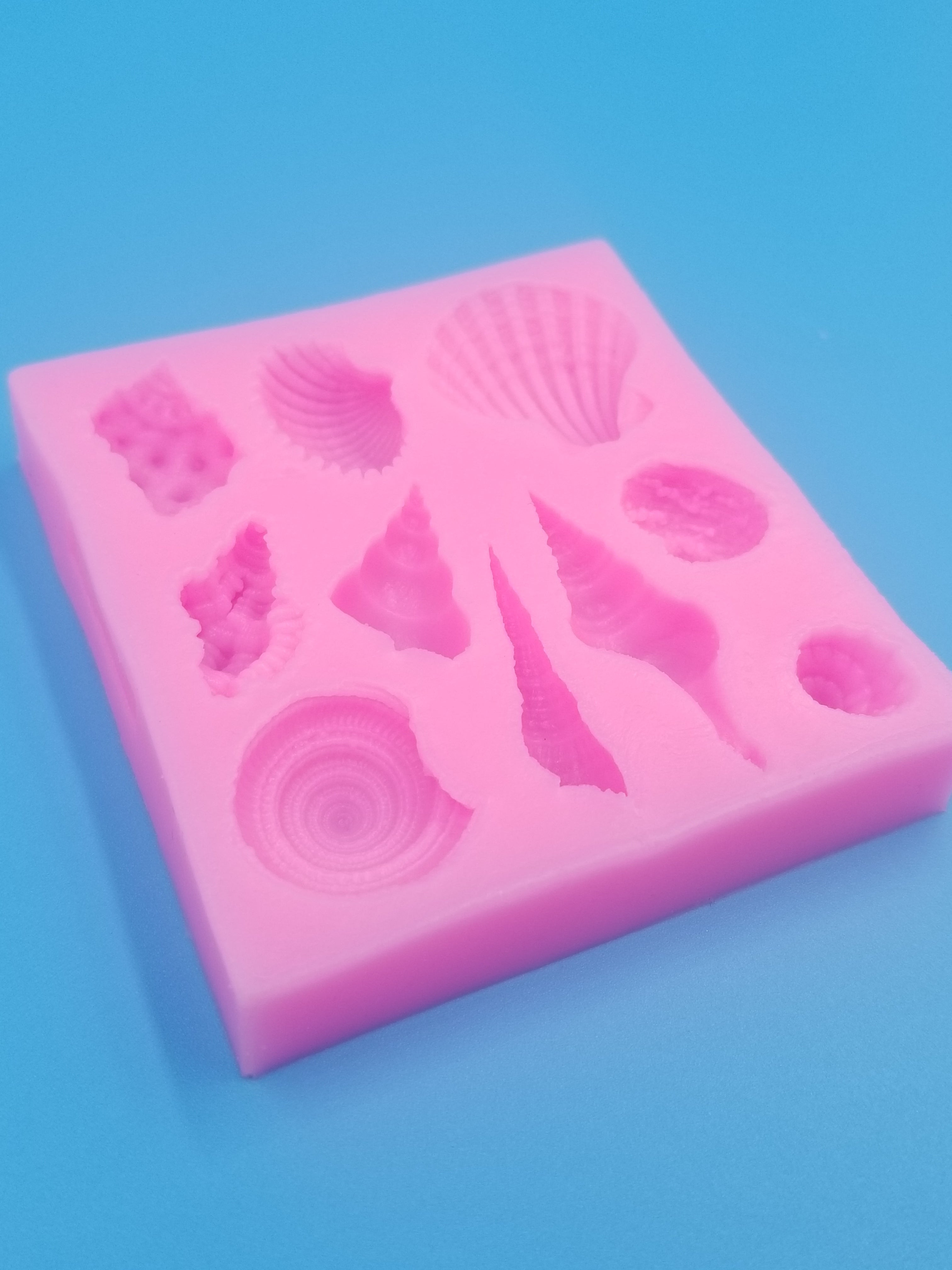 Seashell Silicone Mold - Conch - Food Safe - Chocolate - Fondant