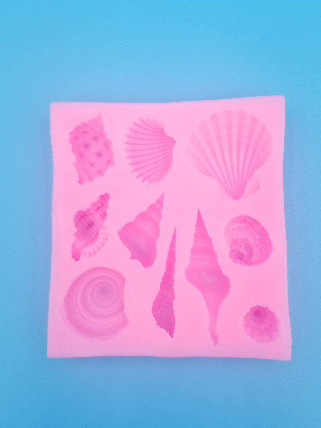 Seashell Silicone Mold - Conch - Food Safe - Chocolate - Fondant