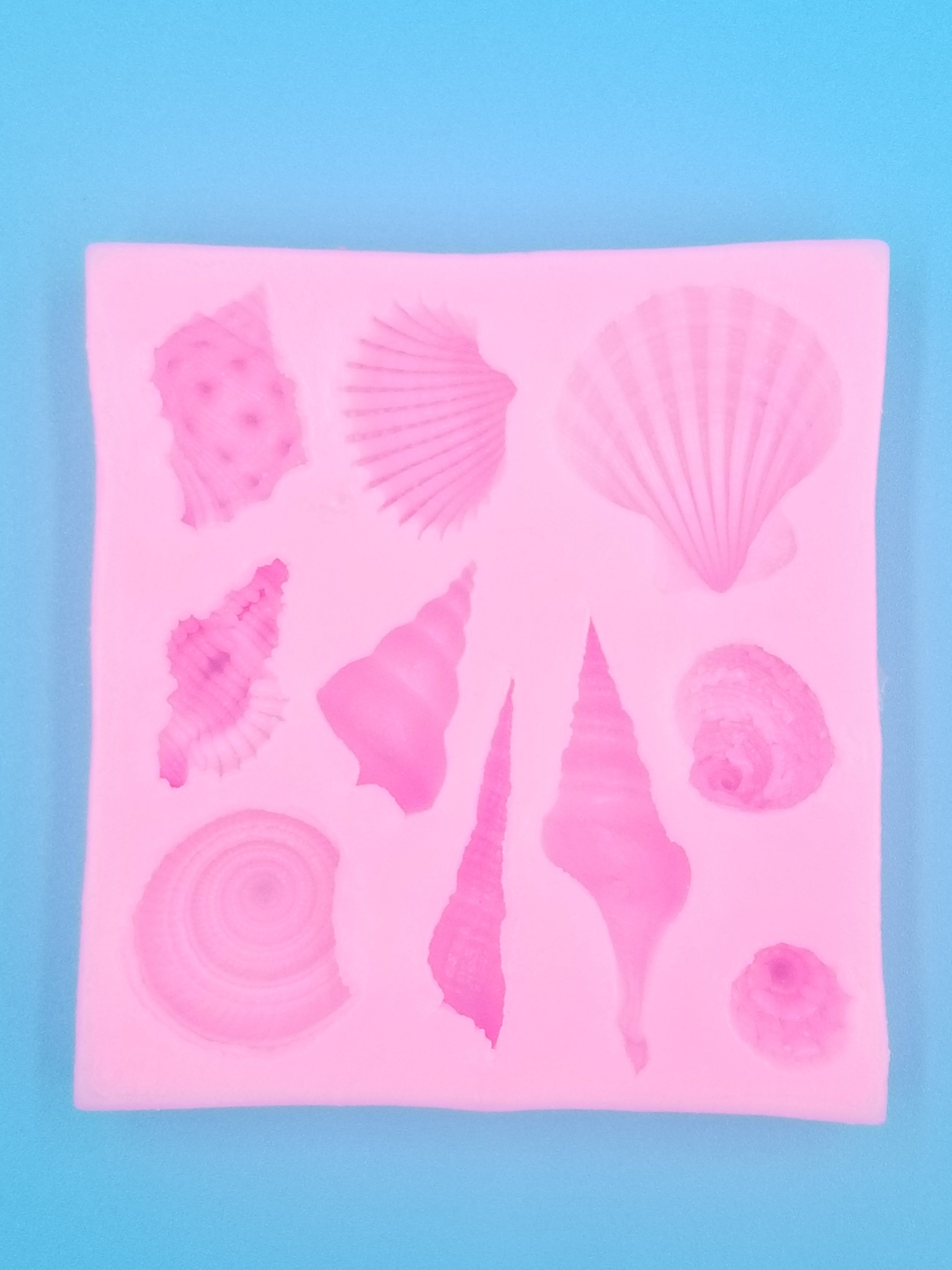 Seashell Silicone Mold - Conch - Food Safe - Chocolate - Fondant