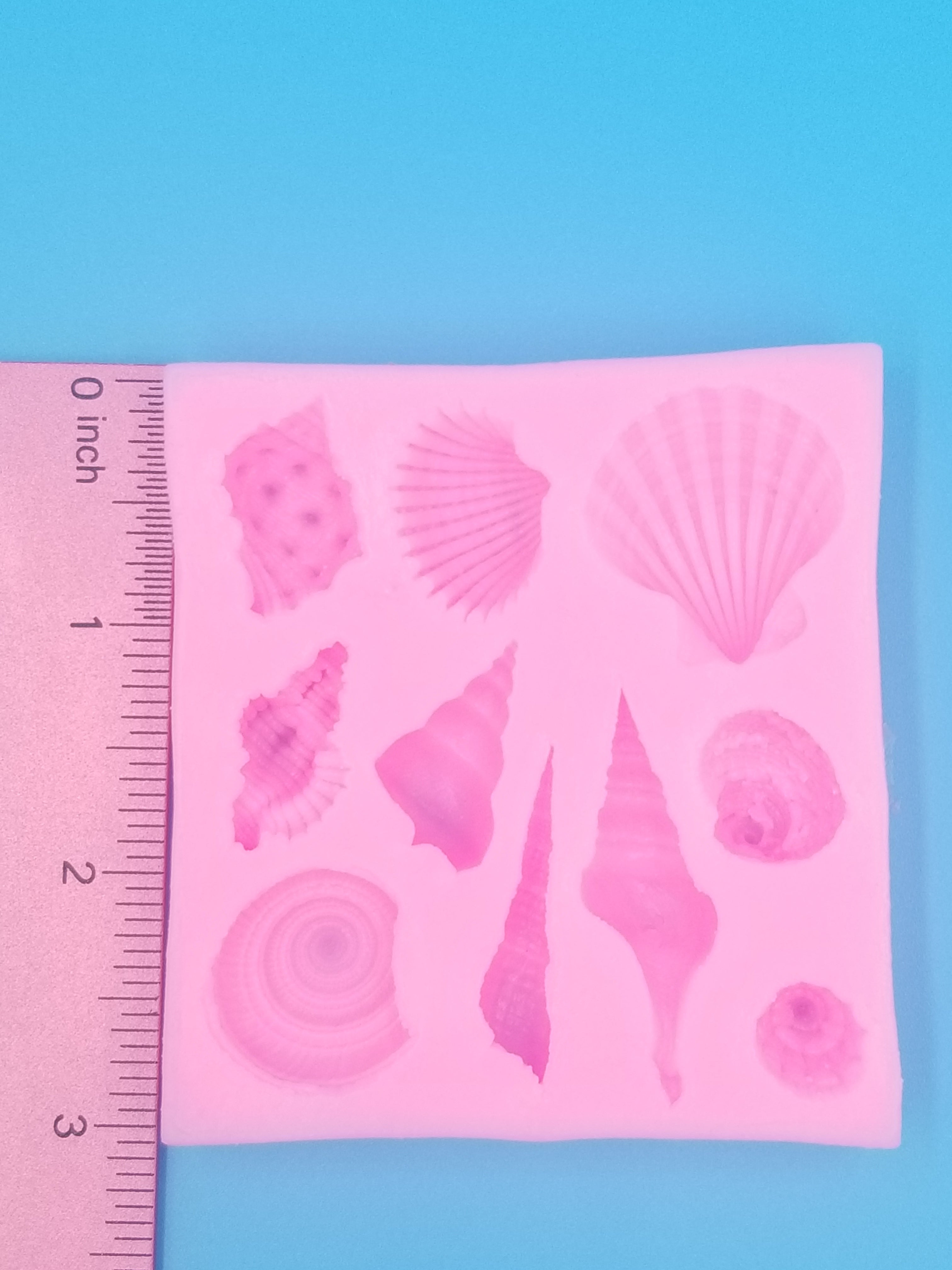 Seashell Silicone Mold - Conch - Food Safe - Chocolate - Fondant