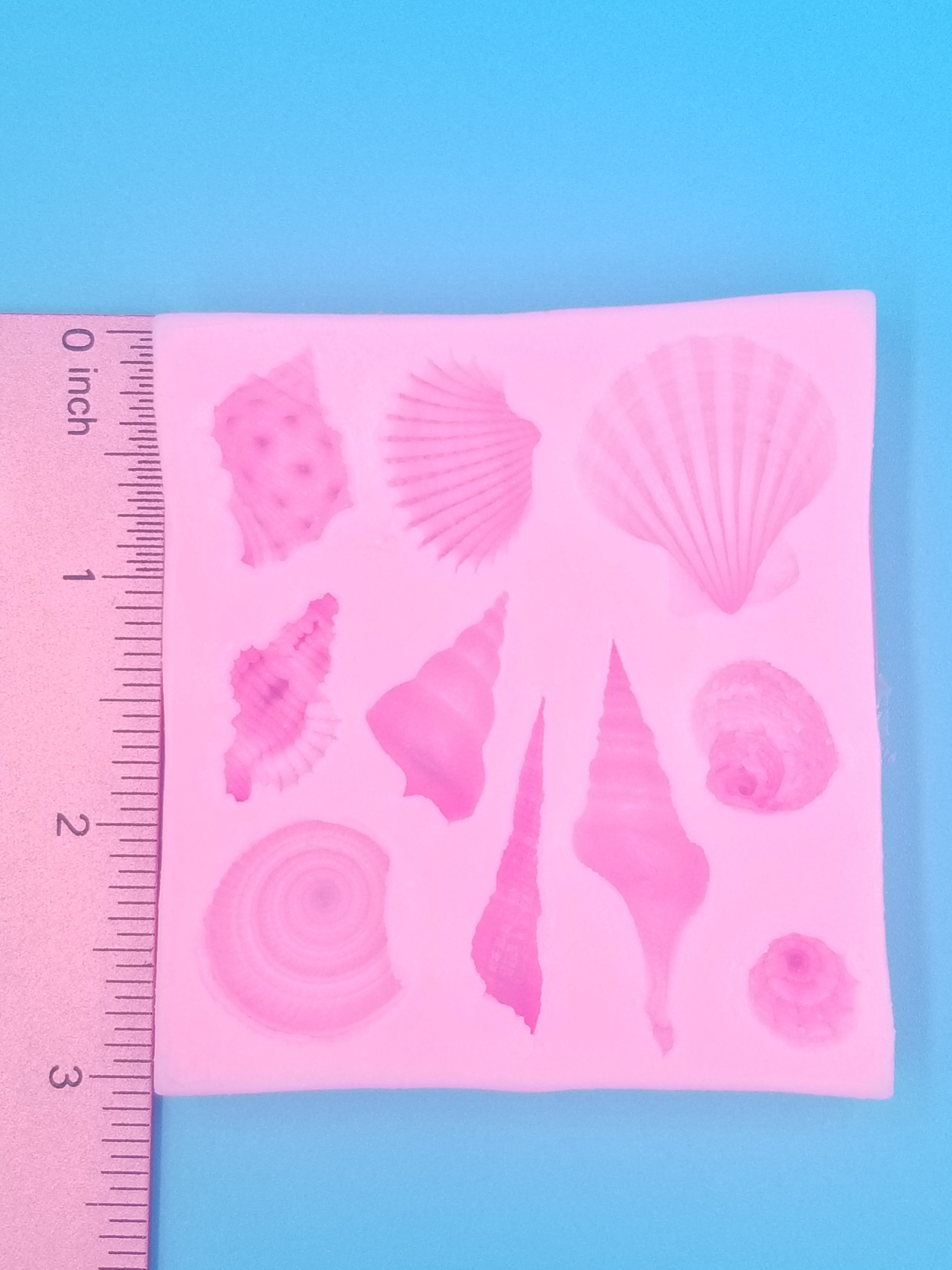 Seashell Silicone Mold - Conch - Food Safe - Chocolate - Fondant